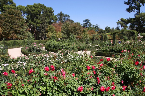 jardín botánico de madrid