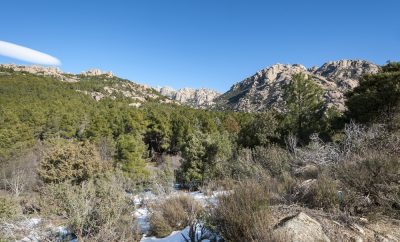 Escapadas de otoño en Madrid